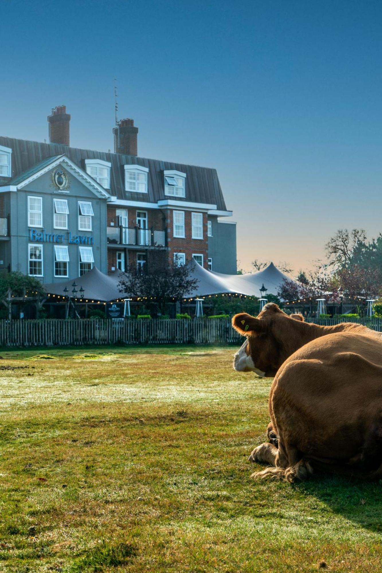 Balmer Lawn Hotel Brockenhurst Exterior photo